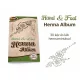 TyToo Hand- & Fuß-Henna-Album