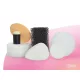 Gesichtsfarbe Schwamm Set