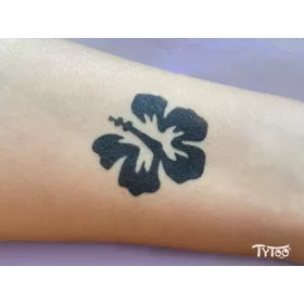 TyToo dauerhafte Körperfarbe 25ml Schwarz