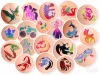 Full GlitzParty Glitzertattoo Set